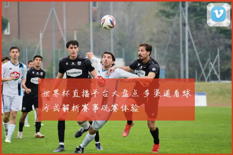 世界杯直播平台大盘点 多渠道看球方式解析赛事观赛体验