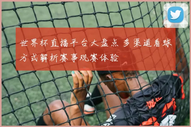 世界杯直播平台大盘点 多渠道看球方式解析赛事观赛体验
