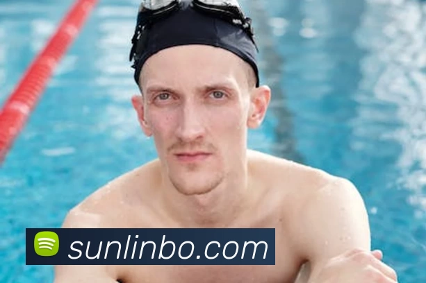 星空网官网登录入口服务体系